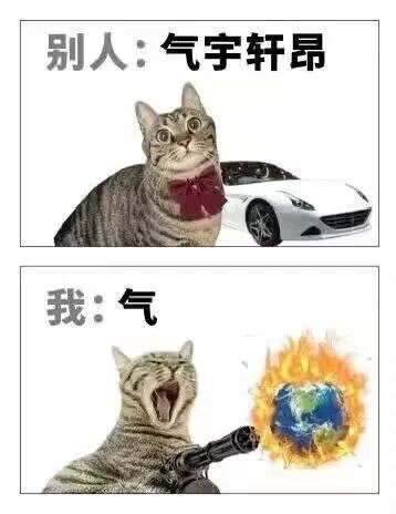 这是一张上下对比的图文混排P图梗图，上半部分配文“别人：气宇轩昂”，画面中是一只佩戴红色领结的猫咪，神态端正，身旁搭配一辆白色跑车，营造出精英气派、风度翩翩的形象；下半部分配文“我：气”，画面里的猫咪张大嘴巴怒吼，手持枪械，枪口前方是燃烧的地球，夸张地表现出极度愤怒、火气冲天的状态。整幅图通过强烈的形象和状态反差，幽默调侃了自己与他人的状态差异，用夸张的手法放大自身的暴躁情绪，极具网感和趣味性。