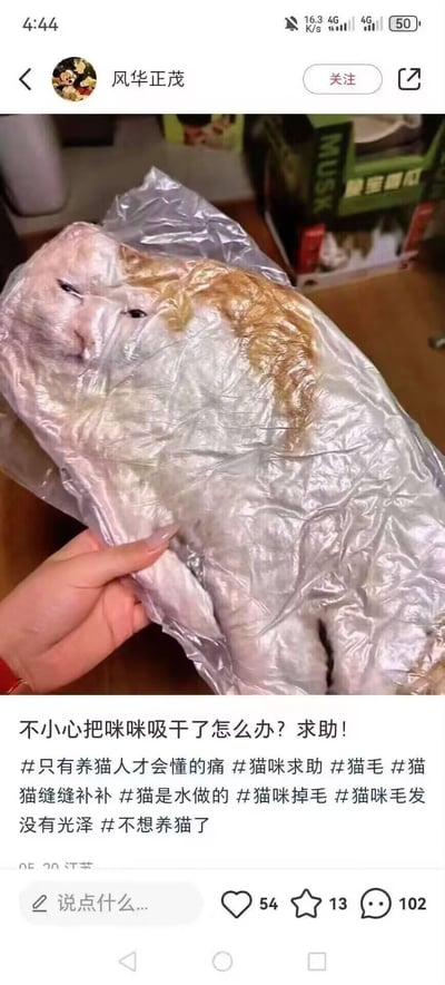 这是一张小红书平台的铲屎官整活梗图，图中一只橘白猫咪被P成了真空压缩袋里的样子，视觉上像是被“吸干”了水分，配文“不小心把咪咪吸干了怎么办？求助！”，还附带了#只有养猫人才会懂的痛 #猫是水做的等一系列玩梗标签，用来调侃猫咪软乎乎像液体的特性，同时吐槽养猫过程中掉毛、打理毛发的小烦恼，是铲屎官圈子里的搞笑内容。
双关说明：这里的“吸干”是双关语，既指真空包装带来的视觉效果，也结合标签吐槽养猫的无奈日常，玩“猫是水做的”这个经典铲屎官梗。