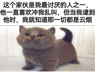 图片上半部分为黑色文字：“这个家伙是我最讨厌的人之一，他一直喜欢冲我乱叫，但当我逮到他时，我就知道那一切都是云烟”，下半部分是一只棕色小猫，有着黑色的尾巴，正抬头睁着大眼睛看向前方，表情显得好奇又无辜。文字内容表达了对某人的不满，但当“逮到”对方后情绪释然，而图片中的小猫形象可爱，形成了文字的“讨厌”情绪与猫咪的萌态之间的反差萌效果。