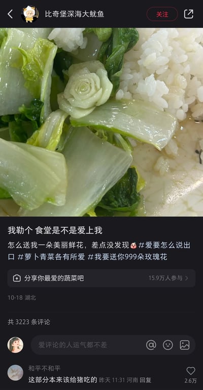 这是一张社交媒体动态截图，内容为用户“比奇堡深海大鱿鱼”分享的自己的食堂餐，餐品中的青菜梗因形状巧合类似玫瑰，作者用调侃的语气发文戏称“食堂是不是爱上我，送我一朵美丽鲜花”，并配上相关趣味话题。下方的热门评论“这部分本来该给猪吃的”以直白扎心的反差感获得2.6万点赞，整体内容充满生活趣味，是对食堂餐的搞笑吐槽，引发网友共鸣。