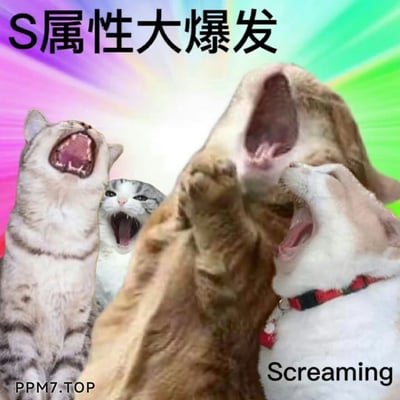 这是一张网友自制的趣味合成表情包，背景为彩色放射状渐变，画面中拼贴了四只表情夸张的猫狗，它们全部仰头大张嘴巴，呈现出亢奋嚎叫的姿态，完美呼应了顶部配文“S属性大爆发”的情绪。右下角标注英文“Screaming”进一步强化了嚎叫的状态，左下角带有“PPM7.TOP”的水印。“S属性大爆发”是当下流行的网络热词，这里用动物们极具张力的嚎叫姿态来传递出一种情绪释放、极度亢奋的感觉，适合在社交场景中用来表达激动、宣泄情绪的状态。