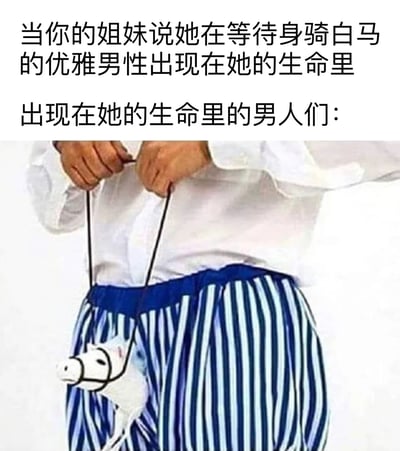 这张梗图通过文字与图片的幽默对比，展现了理想与现实的差距。上方文字描述姐妹期待
