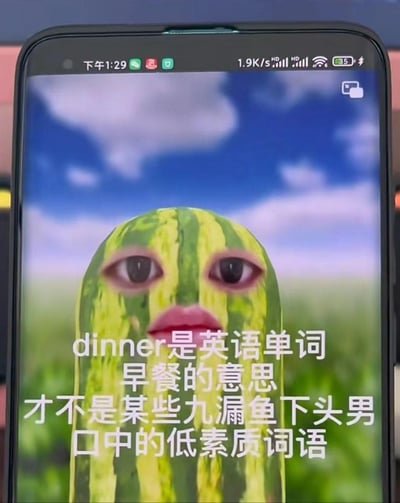 这是一张手机屏幕截图，画面主体是一个被P上人类眼睛和嘴唇的西瓜，背景是蓝天白云与草地。图中配文为：“dinner是英语单词，早餐的意思，才不是某些九漏鱼下头男口中的低素质词语”。需要注意的是，dinner的实际含义是“晚餐”，早餐对应的英语单词是breakfast，此处配文可能存在错误，或是用反讽的方式吐槽那些将dinner当作脏话使用的人。