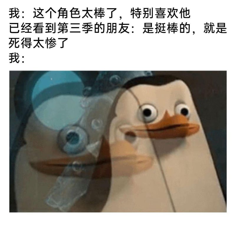 马达加斯加的企鹅