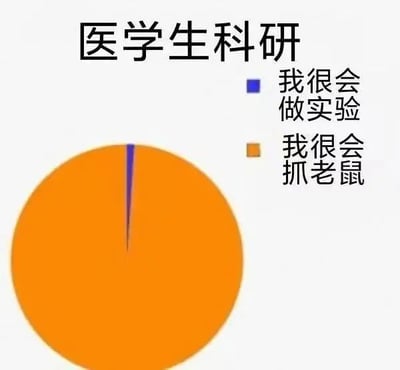 一张幽默的饼图，标题为“医学生科研”。图中大部分区域（橙色）被标注为“我很会抓老鼠”，仅有极小一部分（蓝色）标注为“我很会做实验”。通过夸张的比例对比，调侃医学生在科研过程中可能花费大量时间处理实验动物（如抓老鼠）而非核心实验操作的现象。