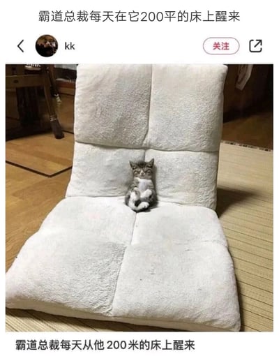 这是一张社交媒体截图，画面主体是一只小小的奶猫，它仰躺在一个尺寸远超自身的白色毛绒靠垫上，姿态舒展放松，半眯着眼睛，露出肚皮和前爪，神态慵懒惬意。图片上方配文“霸道总裁每天在它200平的床上醒来”，底部配文“霸道总裁每天从他200米的床上醒来”，通过夸张的调侃，将小奶猫比作坐拥超大床的霸道总裁，利用小奶猫与大靠垫的尺寸反差制造出搞笑的萌感，生动有趣地凸显了小奶猫的可爱，很容易引发网友的喜爱。