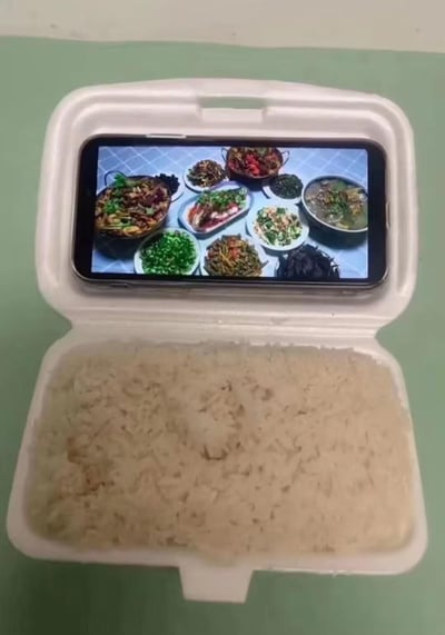 这张图是一个充满趣味的创意拍摄：打开的白色泡沫餐盒里只有满满一盒白米饭，餐盒的盖子上固定着一部智能手机，手机屏幕中显示着一桌丰盛多样的家常菜，包含清蒸鱼、炒菜、汤品、凉拌菜等多道菜品，营造出“就着屏幕里的虚拟菜肴吃白米饭”的场景，用现代方式演绎了“画饼充饥”的典故，戏谑地调侃了吃不起丰盛饭菜、只能凑活果腹的窘迫与无奈。
图中没有双关、谐音梗或暗示内容，仅通过视觉创意传递搞笑自嘲的情绪。
