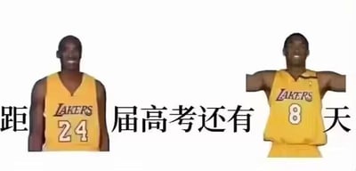这是一张网友自制的高考倒计时梗图，采用左右对比的图文混排形式，将NBA球星科比·布莱恩特的两张形象照进行P图改编。左侧是身穿24号洛杉矶湖人队球衣的科比，右侧是被裁剪为仅露出上半身、身穿8号洛杉矶湖人队球衣的科比，搭配图中的文字“距 届高考还有 天”，通过文字与球衣号码的位置组合，组成“距XX届高考还有248天”的完整倒计时内容，整体风格轻松搞笑，用于调侃或记录高考倒计时的时间，没有双关、谐音梗等内容。