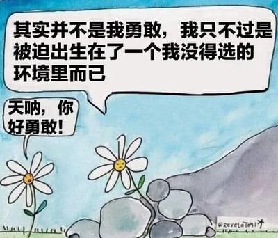 这是一幅水彩风格的插画，画面中有两朵拟人化的雏菊生长在岩石之间。左侧雏菊面带惊讶，用对白气泡说：“天呐，你好勇敢！”；右侧雏菊则平静回应：“其实并不是我勇敢，我只不过是被迫出生在了一个我没得选的环境里而已”。背景为浅蓝色天空，底部散落着灰色岩石，右下角有“@revelation”的作者水印。整幅图通过花朵的对话形成鲜明反差，表面是对“勇敢”的赞美，实则揭示了环境对个体的被动塑造，引发对成长境遇与自主选择的思考。