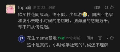 这是一张社交媒体评论区的截图，展示了用户「topo庭」与账号「花生meme基地」作者的互动。用户「topo庭」引用南宋词人刘过《唐多令·芦叶满汀洲》中的词句「欲买桂花同载酒，终不似，少年游」，搭配哭泣表情，分享自己国庆返乡与发小重访儿时老店时，心中满是物是人非的怅惘却难以言说的心情；账号作者则回应称，自己小时候学习《社戏》时还无法理解这种心境，如今才深有体会，二人的互动传递出长大后对旧时光、旧文学产生共情的普遍感受。