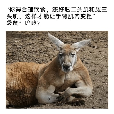 这是一张趣味搞笑梗图，上方配有两段文字：先是模拟健身指导给出的建议“你得合理饮食，练好肱二头肌和肱三头肌，这样才能让手臂肌肉变粗”，随后是袋鼠的疑惑回应“呜哼？”。下方的图片是一只红袋鼠，它正慵懒地趴在泥土地上，前肢肌肉线条十分粗壮明显，脸上带着疑惑又略显不屑的神情，通过人类需要刻意锻炼才能拥有粗壮手臂，而袋鼠天生就具备这样的肌肉的强烈反差，制造出搞笑的效果，调侃了健身练手臂的话题。