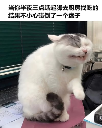一张猫咪表情包，上方配有文字“当你半夜三点踮起脚去厨房找吃的结果不小心碰倒了一个盘子”。图片主体是一只灰白相间的猫，它正做出惊恐的表情，眼睛紧闭，嘴巴张开露出牙齿，一只前爪抬起，仿佛被突然发出的声响吓到。猫咪坐在一堆文件上，背景是带有绿色百叶窗的窗户。这张图通过猫咪夸张的惊恐表情，幽默地表现了深夜偷偷找食物时不小心弄出声响的紧张和害怕被发现的心情。