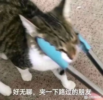 暂无描述