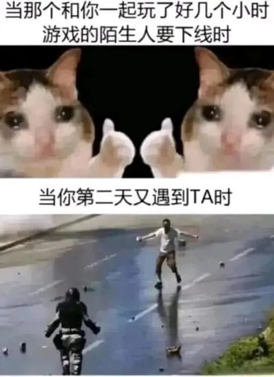 这是一张双面板梗图，上半部分用失落猫的表情搭配文字“当那个和你一起玩了好几个小时游戏的陌生人要下线时”，表达玩家对临时游戏伙伴下线的不舍；下半部分用跑步者奔向骑车人的场景搭配文字“当你第二天又遇到TA时”，传递重逢的兴奋。整体幽默展现游戏中临时社交的情感连接。
