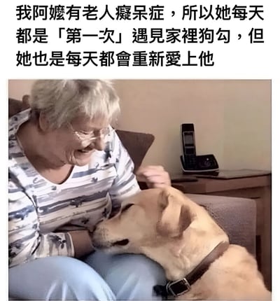 图片上方是一段感人文字："我阿嬤有老人癡呆症，所以她每天都是「第一次」遇見家裡狗勾，但她也是每天都會重新愛上他"。下方照片中，一位白发苍苍的老奶奶正坐在沙发上，脸上带着温暖的笑容，低头与依偎在她腿上的金毛犬互动。狗狗温顺地将头靠在奶奶身上，画面充满了亲情与宠物间的温馨情感。