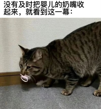 图片展示了一只虎斑猫嘴里叼着一个粉色婴儿奶嘴的有趣场景。猫咪站在铺有灰色地毯的地面上，背景是浅色墙壁和木质踢脚线。猫的表情看起来十分专注，身体微微前倾，似乎对这个意外发现的物品很感兴趣。图片上方配有文字说明：'没有及时把婴儿的奶嘴收起来，就看到这一幕：'，暗示了这是一个育儿过程中的意外搞笑瞬间。整个画面充满生活气息和幽默感，展现了宠物与人类生活互动的趣味时刻。