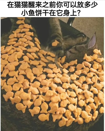 图片中一只灰色的猫正熟睡，身上被铺满了大量小鱼形状的饼干。图片上方配有文字'在猫猫醒来之前你可以放多少小鱼饼干在它身上？'，营造出一种趣味挑战的氛围，展现了猫咪可爱的睡姿和人与宠物间的趣味互动。