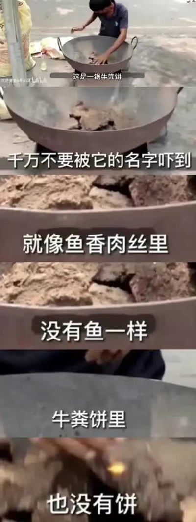 这组分镜搞笑梗图，配合视频截图和解说文字，吐槽“牛杂饼”名字和实际内容毫无关系，牛杂饼里既没有牛，也没有饼，和“鱼香肉丝没有鱼”异曲同工，凸显中文美食名字和实物的不符。幽默风格明显，适合发在社交平台用来调侃名字和实际落差。