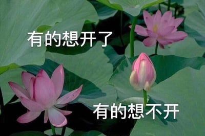 这是一张基于真实荷塘拍摄照片制作的文字加注类静态梗图，画面中呈现了三朵不同状态的荷花与大片荷叶：左下角是完全绽放的粉色荷花，右上方是半开放的荷花，右下方则是紧紧闭合的荷花花苞。图中针对不同状态的荷花配上了双关文字，在半开荷花旁标注“有的想开了”，在花苞旁标注“有的想不开”，巧妙地将荷花的“开放”状态与人的“看开、释怀”或“纠结、钻牛角尖”的心态进行谐音关联，用生动的植物状态调侃不同人的心理状态，趣味十足，容易引发观者共鸣。