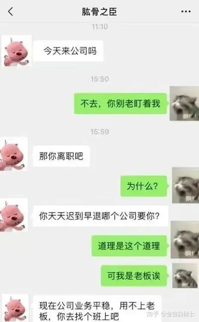 这张图是一段模拟老板和员工微信聊天的对话表情包，老板用卡通猪头像，员工用浣熊照片配合台词。老板问“今天来公司吗”，员工回复“不去，你别老盯着我”。老板威胁说“不来就离职吧”，员工反问“为什么？”，老板用自嘲的方式答道：“你天天迟到早退哪个公司要你？道理是这个道理，可我是老板诶。”最后老板自己又补一句：“现在公司业务平稳用不上老板，你去找个班上吧”，显示老板其实是在自黑自演一个打工人的日常。“可我是老板诶”是全图的梗点，夸张了中小老板的无奈和尴尬。

没有明显的双关和谐音梗，但有典型的自嘲和反转幽默味道。