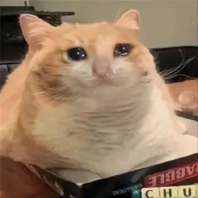 图片中是一只圆滚滚的橘白相间猫咪，正端坐在一个盒子里。猫咪脸部圆润，眼睛又大又圆，眼神显得无辜又呆萌，脖子处因体型较胖而有明显的褶皱。它的毛发头部和背部呈橘色，胸部和腹部为白色。身下的盒子上有部分可见文字“VEGETABLE”和“CHU”。背景模糊，突出猫咪主体，整体画面充满治愈感和可爱气息。