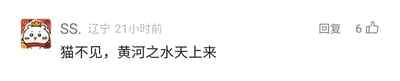 这是一张静态的社交媒体评论截图，属于单图形式。画面左上角是一个戴着金色小皇冠、脸颊泛红的卡通白色小动物头像，形象软萌可爱。评论发布者昵称是“SS.”，所在地标注为辽宁，发布时间为21小时前，该评论右侧显示有“回复”按钮以及6个点赞数。评论内容为“猫不见，黄河之水天上来”，将寻找猫咪的日常表述与唐代诗人李白《将进酒》中的经典诗句无厘头混搭，没有谐音、双关等特殊梗，只是通过不相关内容的组合制造趣味效果。