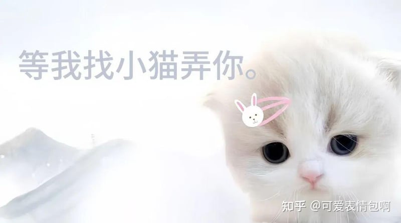 等我找小猫弄你