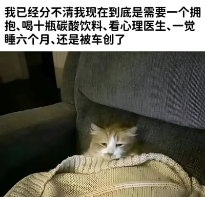 图片上方为黑色粗体文字：“我已经分不清我现在到底是需要一个拥抱、喝十瓶碳酸饮料、看心理医生、一觉睡六个月、还是被车创了”，下方是一只橘白相间的猫咪蜷缩在灰色沙发的角落，身上覆盖着米色针织毯子，眼神低垂，表情显得疲惫而无精打采。文字内容以夸张的方式列举了多种极端的情绪宣泄或逃避方式，表达了当代人在压力下的精神迷茫与疲惫状态，而猫咪慵懒无力的姿态则视觉化地强化了这种“丧”情绪，形成图文呼应。