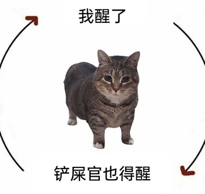 这是一张经过P图改编的趣味表情包，画面主体是一只被修改成短身短腿的狸花猫，猫咪表情严肃地站立在画面中央。图片上方配有文字“我醒了”，下方配有文字“铲屎官也得醒”，还有环形箭头环绕，以猫主子的视角，强势表达了“自己醒了就必须叫醒铲屎官”的逻辑，生动调侃了养猫人群常被猫咪强制叫醒的日常，充满了养猫人的趣味共鸣，适合在社交平台分享养猫趣事时使用。