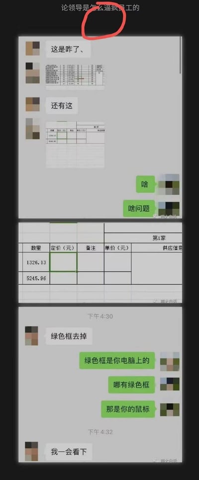 这是一组竖屏的微信聊天记录截图，顶部配有标题“论领导是怎么逼疯员工的”。对话中，领导先是发了两张Excel表格截图，只含糊表示表格有问题，员工疑惑询问具体问题后，领导要求员工去掉表格里的绿色框，员工无奈又好笑地解释这个绿色框是领导自己电脑上的鼠标选中框，并非表格本身的内容，最后领导回复“我一会看下”。整个场景生动展现了职场中领导不懂基础电脑操作却盲目指挥员工的尴尬与无奈，充满搞笑感。