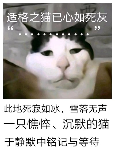 这是一张经过图像合成与P图改编的趣味表情包，将猫咪的头部与人类的肩膀部分拼接在一起，同时把猫咪的面部修改成耷拉着眼皮、脸颊下垂的愁苦憔悴模样，搭配上方的文字“适格之猫已心如死灰……”，以及下方文艺伤感的文案“此地死寂如冰，雪落无声，一只憔悴、沉默的猫，于静默中铭记与等待”，以拟人化的方式，用怪异又搞笑的形象传递出心如死灰、极度低落消沉的情绪，通过荒诞的视觉效果和伤感文案的反差，精准表达出疲惫、绝望、提不起劲的消极状态，常被用作社交场景中抒发负面情绪的素材。