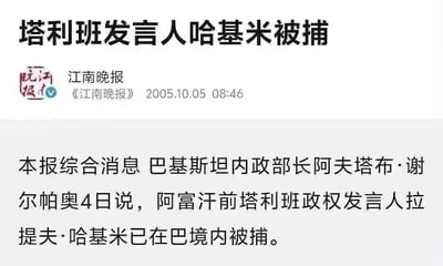 这张图通过仿制新闻媒体的报道方式，恶搞“塔利班发言人哈基米被捕”。图中的名字巧妙采用谐音梗，‘哈基米’暗含网络调侃色彩。内容看似严肃，实则全为虚构，常被用作社交圈的无厘头梗图，有强烈的网络恶搞气息。具有典型的假新闻和谐音梗双重讽刺效果。

重点：标题中的“哈基米”带有明显谐音与玩梗意味。