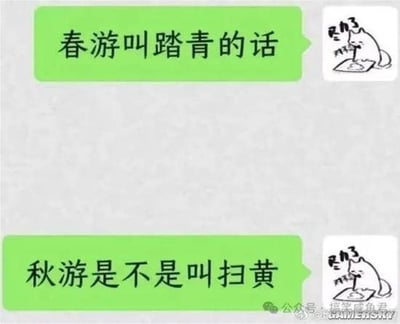 这张图片模仿微信聊天对话，在内容上用“春游叫踏青”说法引申出“秋游是不是叫扫黄”，利用了‘青’和‘黄’在春秋时令的颜色转变进行幽默双关，辅以网络表情包的简笔画狗头像制造轻松搞笑氛围。笑点在于“扫黄”既可以解释为扫落叶，也带有网络用语含义，形成冷幽默。