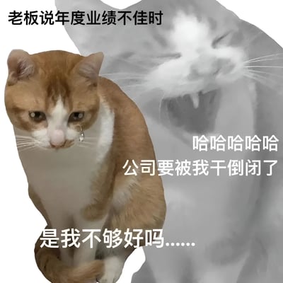 图片左侧是一只橘白相间的猫，表情悲伤，左眼下方有一滴眼泪，下方配文'是我不够好吗......'。右侧是一只灰白滤镜的猫，张大嘴巴露出牙齿，表情夸张地大笑，配文'哈哈哈哈哈 公司要被我干倒闭了'。图片顶部有文字'老板说年度业绩不佳时'。整体通过两只猫的表情和文字对比，幽默地表现了员工在老板说业绩不佳时表面自责实则内心幸灾乐祸的矛盾心理。