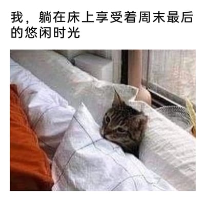 这是一张图文结合的趣味梗图，上方配有文字“我，躺在床上享受着周末最后的悠闲时光”，下方是一只狸花猫被带有格子纹路的被子紧紧包裹，只露出圆乎乎的脑袋，猫咪眼神慵懒放松，姿态惬意，仿佛正沉浸在周末最后的舒适之中。这张图用猫咪的状态拟人化地表达了人们在周末即将结束时，贪恋床榻舒适、不舍悠闲时光，对即将到来的工作日充满抗拒的普遍心情，容易引发大众的情感共鸣。