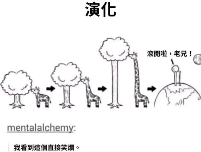 长颈鹿
