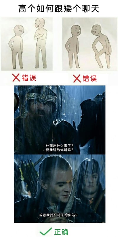 这是一张玩身高差梗的搞笑拼接图，顶部以手绘示意图展示两种高个与矮个聊天的错误示范：一种是高个挺直身体，让矮个需抬头仰望；另一种是高个刻意弯腰扭曲身体，姿态怪异，两种都被标注为错误。下方则用《指环王》的影视截图作为所谓的“正确示范”，通过修改原场景字幕，让高个精灵莱戈拉斯说出“或者我找个箱子给你站？”的调侃话语，用反讽的方式制造笑点，并非真正的正确社交礼仪，本质是用幽默的方式调侃身高差异带来的趣味场景。
