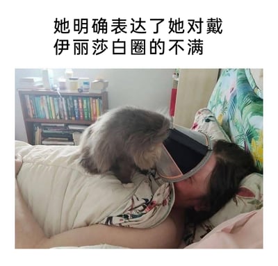 暂无描述