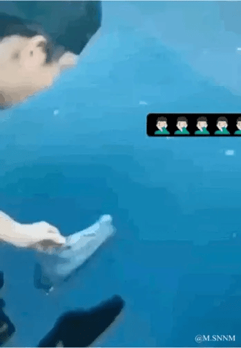 这是一个动态GIF图，画面中一名真人手持一只鞋子，画面上方叠加了一个黑色长条，里面排列着五个完全相同的绿色上衣卡通人物头像，右下角带有@M.SNNM的水印。整图通过真人动作与重复卡通头像的结合，营造出滑稽搞笑的氛围，没有双关、谐音梗等内容。