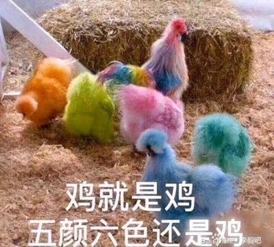 图片中展示了一群颜色鲜艳的鸡，包括橙色、绿色、粉色、蓝色等多种彩色羽毛，它们在干草堆旁的地面上活动。图片底部有白色文字：'鸡就是鸡 五颜六色还是鸡'，通过色彩鲜明的视觉冲击与直白文字结合，暗示无论外表如何变化，事物的本质属性不会改变。