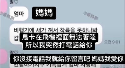 这是一张带有中文翻译字幕的韩语聊天界面截图，界面显示的是标注为“딸💛”的女儿发给妈妈的消息。内容为女儿告知妈妈，飞机因有鸟卡在机身内无法正常着陆，于是紧急打电话给妈妈但未接通，便通过留言向妈妈表达爱意。截图还显示了消息发送时间为上午9:01，图片多处带有“@看韩影”的水印，整体内容结合了惊险的飞机意外背景与温情的亲情告白，既带着一丝对飞行状况的担忧，又充满暖心的爱意表达。