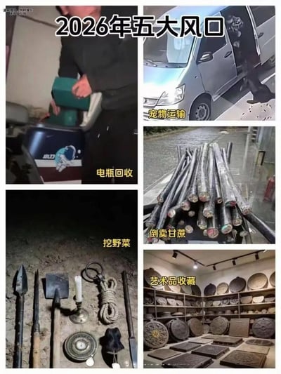 这是一张多图拼接而成的网络恶搞讽刺梗图，顶部大标题标注为“2026年五大风口”，将五种不法盗窃行为替换成好听的名号，包装成热门创业风口：左上区域展示了盗窃电动车电瓶的场景，标注名称为“电瓶回收”；左下区域摆放着洛阳铲、罗盘、绳索等盗墓工具，将盗墓行为美化为“挖野菜”；右上区域展示了偷狗者将毒杀的狗狗放到车上的场景，标注名称为“宠物运输”；右中区域展示了盗窃来的电缆，因外形类似甘蔗，标注名称为“倒卖甘蔗”；右下区域将盗窃得来的井盖摆成展厅，标注名称为“艺术品收藏”。整张图讽刺了当下网络上胡乱包装“风口”概念，甚至为不法行为换名头美化的现象，带有恶搞讽刺意味，左上角标注了“纯粹娱乐 无不良引导”的提示。