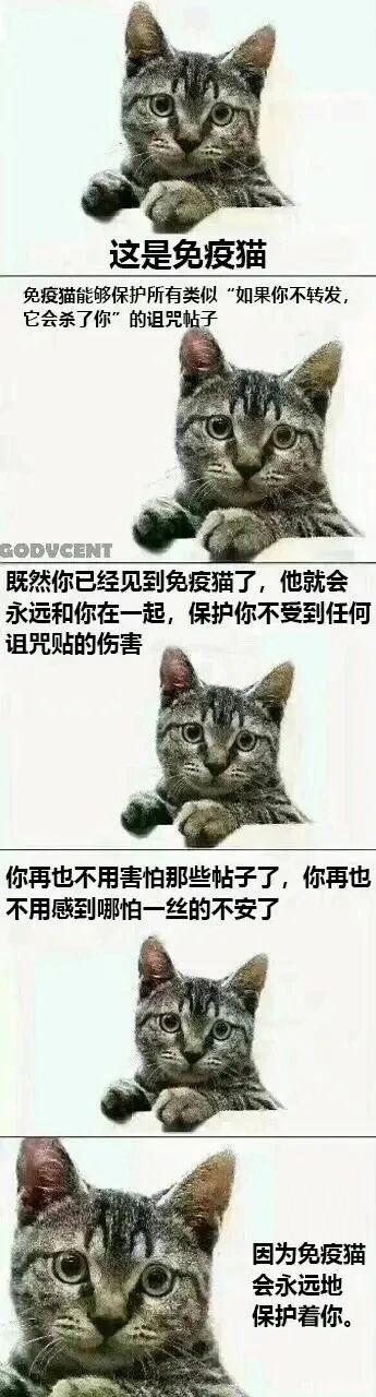暂无描述