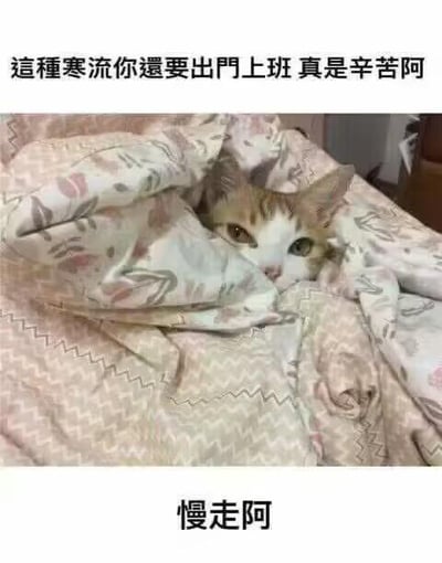 图片中一只猫咪裹在带有花纹的被子里，仅露出脑袋和一双眼睛，眼神慵懒中带着一丝戏谑。图片上方配有文字“這種寒流你還要出門上班 真是辛苦阿”，下方配有文字“慢走阿”。通过猫咪舒适待在温暖被窝里的场景，与人们在寒冷天气中不得不出门上班的现实形成鲜明对比，以幽默的方式调侃打工人在恶劣天气下通勤的无奈。
