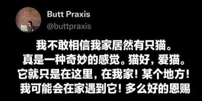 这是一张社交媒体截图，显示用户Butt Praxis（@buttpraxis）发布的内容，表达了对家中有猫的惊喜与喜悦之情，称其为“多么好的恩赐”，文字充满兴奋和幸福感。