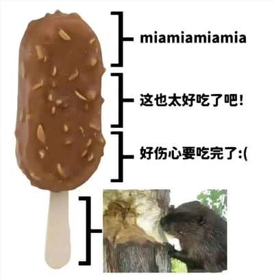 图片左侧是一根巧克力涂层的雪糕，上面撒有坚果碎。右侧有三段文字，从上到下分别是拟声词"miamiamiamia"、感叹句"这也太好吃了吧!"和表达不舍的"好伤心要吃完了:(")。底部右侧有一张海狸正在啃木头的小图，通过黑色线条与雪糕相连，形成有趣的视觉关联。