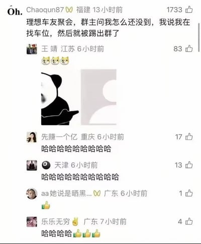 这是一张社交媒体评论区截图，首条由IP属地福建的用户Chaoqun87发布搞笑段子：自己前去参加理想汽车的车友聚会，群主询问其为何还没到场，自己回复正在找车位后立刻被踢出了车友群。该段子的笑点是谐音梗，“找车位”谐音可被曲解为“找魏牌（长城汽车旗下品牌）的车”，被理想群主误以为是其他品牌的车主混入，因此被踢出群聊。下方多名其他用户看到该内容后，纷纷发布大笑文字、表情，还有配熊猫头指理想汽车logo的表情包回应该段子，觉得十分好笑。