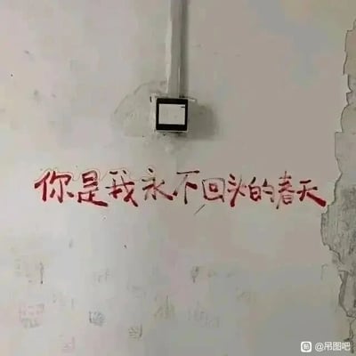 暂无描述