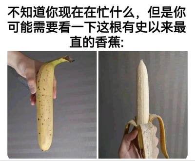 这是一张由左右两张图片和顶部文字组成的趣味内容，顶部配文为“不知道你现在在忙什么，但是你可能需要看一下这根有史以来最直的香蕉:”。左侧图片展示了一只手握着一根带皮的香蕉，香蕉的果柄处有轻微弯折，但主体部分较为笔直，表皮分布着一些小黑点；右侧图片则是这根香蕉被剥开外皮后的样子，露出的果肉呈现出非常笔直的形态，和大众认知中通常弯曲的香蕉果肉形成强烈反差，以此制造出新奇搞笑的效果。