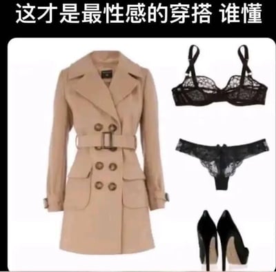 这是一张趣味穿搭梗图，顶部配有文字“这才是最性感的穿搭 谁懂”，画面中展示了一套反差感强烈的穿搭组合：左侧是一件版型挺括的卡其色收腰双排扣风衣，右侧依次排列着黑色蕾丝内衣、黑色蕾丝内裤与黑色尖头超高跟鞋。这种搭配利用风衣的正式、干练感，与内衣的私密、性感特质形成强烈反差，营造出一种“外冷内热”的独特性感风格，以此调侃这种在网络上受到不少人喜爱的性感穿搭思路，引发时尚爱好者的共鸣。
